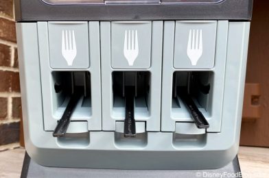 Do you LOVE or HATE These New Forks At Disney Restaurants??