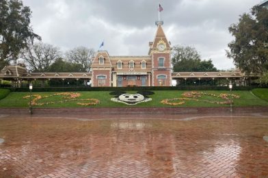 Take a Look at the Disneyland Version of the NEW Starbucks Mugs!