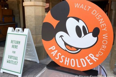 Did You Cancel Your Disney World Annual Pass? Be Sure To Check Now For Your Refund!