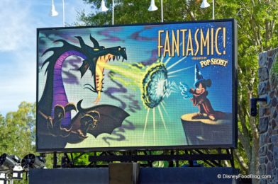 PHOTO! Fantasmic! Amphitheater Remains DRAINED in Disney’s Hollywood Studios