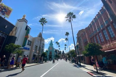 Review! This Newly Reopened Disney World Restaurant Had a MAJOR Comeback!