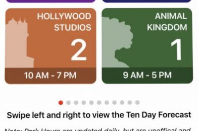 How to Use the Lines 2.0 App Filtering Feature for Dining and Attractions