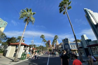 What’s New in Hollywood Studios: New Plexiglass Dividers and Black Widow Merchandise!