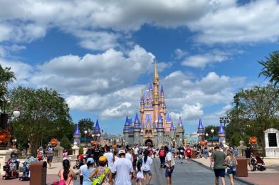 10 Tips for Visiting Walt Disney World’s Theme Parks While COVID-19 Precautions Are in Place