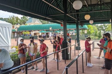 Current State of Transportation at Walt Disney World