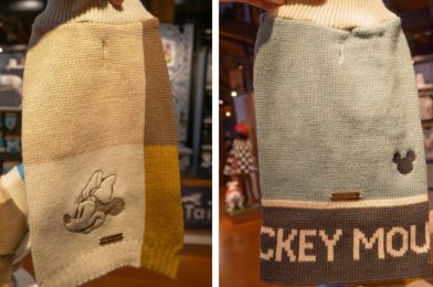 PHOTOS: Max Bone Dog Sweaters Come to Disney Springs