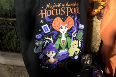 2020 Is the Year of ‘Hocus Pocus’ OVERLOAD! Here’s Proof!