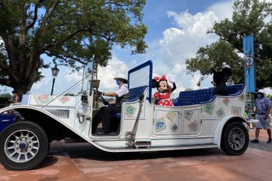 Accessibility at Disney World During the Pandemic