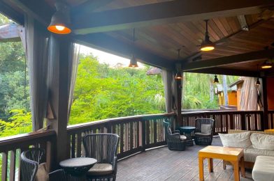 REVIEW – Nomad Lounge Currently Has a Limited Menu and Limited Seating, But Unlimited Adventure