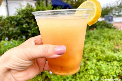 Cheers! We’ve Got Updates on A Few NEW and Old Drinks of Disney World!