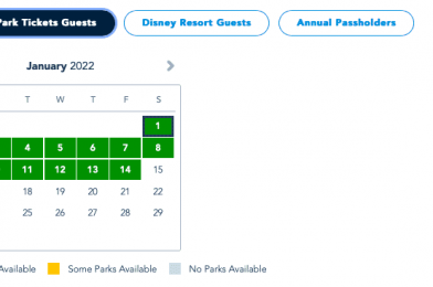 Disney Park Pass Reservation Calendar Extended Through January 2022