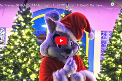 PREVIEW OF NIGHT OF A MILLION LIGHTS AT GKTW