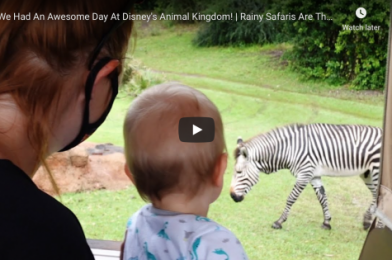 3 THINGS TO DO AT DISNEY’S ANIMAL KINGDOM