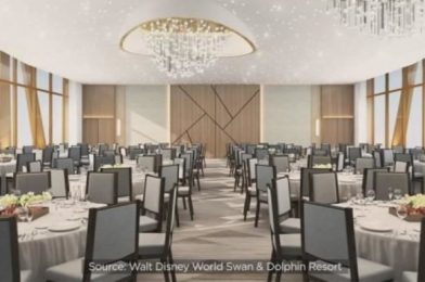 Photos: The NEW Swan Reserve Hotel Is Taking Shape in Disney World!