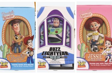 PHOTOS: NEW Toy Story Pass Cases Now Available at Tokyo Disney Resort