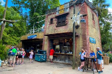 Dawa Bar Is Now Open EVERY Day at Disney’s Animal Kingdom!