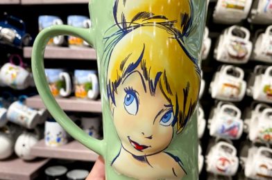 Tinker Bell and Pluto Star in Our Latest Disney World Mug Haul!