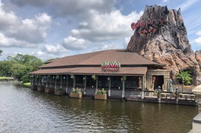 Rainforest Cafe Is Donating to the National Breast Cancer Foundation This Month. See How You Can Help!