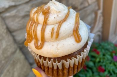 Is It Legal to Marry a Caramel Pumpkin Cupcake From Disney World? Asking for a Friend.