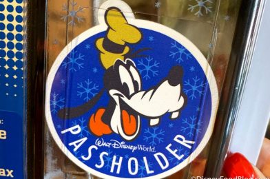 Annual Passholders Can Get Exclusive Holiday Merch at Disney World’s Pop-Up Shop!