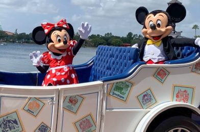 DFB Video: The BEST and WORST Disney World Changes This Year (And The Ones We WISH They’d Keep!)