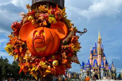 Disney World Survey Asks Guests About FastPass+, Extra Magic Hours, and More