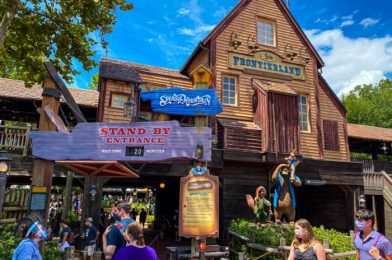 DFB Video: 50 Things in Disney World Everyone Should Do At Least ONCE!