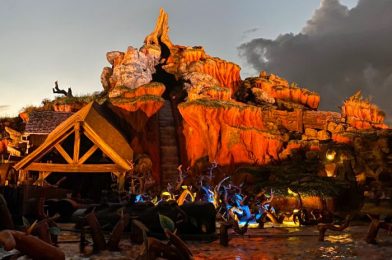 NEWS: Splash Mountain Is Down Due to Technical Difficulties in Disney World