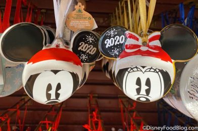 NEWS: Disney World Park Hours Are Now Available Through December 26th!