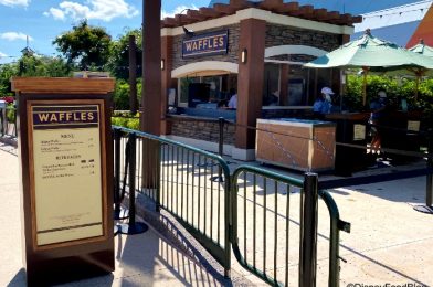 Review! Chicken and Waffle Stans, There’s A BIG Menu Change at EPCOT’s Food and Wine Festival