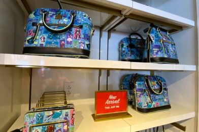 A Haunted Mansion Dooney & Bourke Shopping Event Is Coming to Downtown Disney SOON!