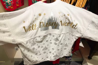 This NEW Spirit Jersey in Disney World Has Us Denim Dreaming!