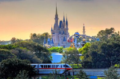 2021 Early Walt Disney World Discount