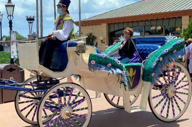 The Frozen Sing-Along Show Has Reopened in Disney World! Has Anything Changed?