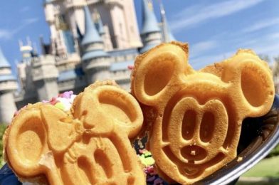 Recipe! Chocolate Waffles with Espresso Mousse from Disney’s Animal Kingdom!