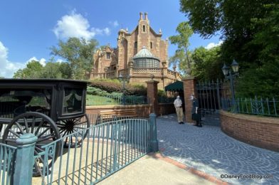 OK Haunted Mansion Fans, Do You Have THESE Bags Yet?!