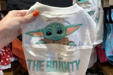 We Spotted ANOTHER Baby Yoda Spirit Jersey in Disney World!