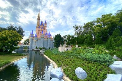 What’s New at Magic Kingdom: TWO of Our Favorite Snack Spots Have Reopened and TONS of Construction Updates!