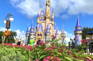 What’s New at Magic Kingdom: A Sparkly Sequin Collection, Princess Onesies, and Tons of Construction Updates!