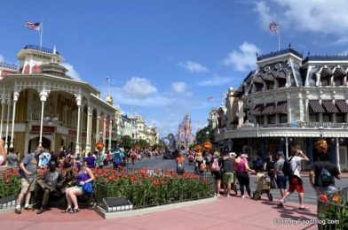 DFB Video: Is Disney World Getting More Crowded and What Does It Mean for YOU?