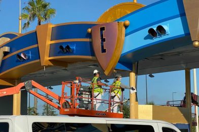 PHOTOS: More Rose Gold Accents Added to Magic Kingdom Toll Plaza