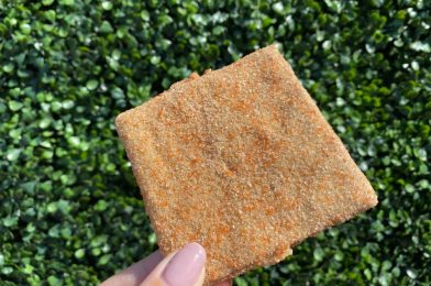 REVIEW: NEW Pumpkin Churro Toffee Adds a Seasonal Fall Twist to a Disneyland Classic at the Downtown Disney District