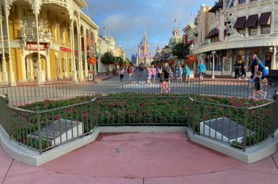 PHOTOS: Roy Disney & Minnie Mouse “Sharing the Magic” Statue Moved for Christmas Tree Installation at the Magic Kingdom