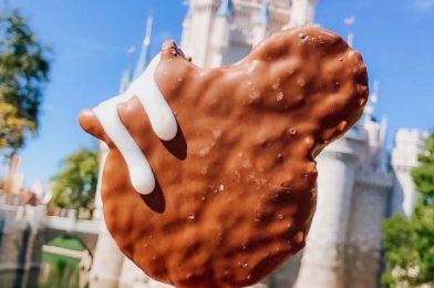 You Can WEAR A Mickey Bar? New Disney SNACK Face Masks Are Now Online!