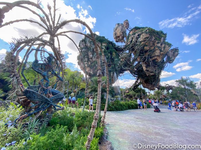DFB Video: Latest Disney News: 2021 Vacation Packages Are Now Available, New Mask Signage & EPCOT Fest News!