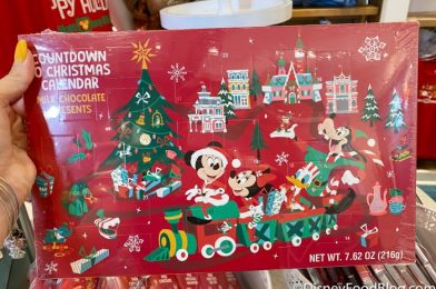 PHOTOS: OVER 20 Holiday Merchandise Items Are Now Available in Disney World!