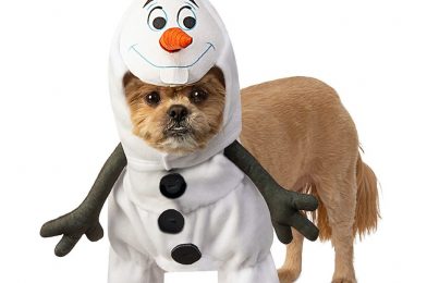 Costumes and Treats for Creatures of All Kinds