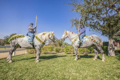 Halloween Horses Strike a Pose at Circle D Ranch