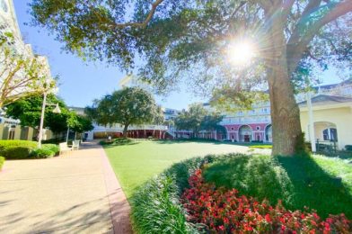 What’s New at the EPCOT Resorts: A Trio of Holiday Fudge and Missing Ice Cream