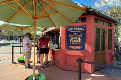 REVIEW: There’s a New IMMUNITY Boost Mimosa at Le Marche de Noel in EPCOT